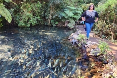 Jocelyn-gutierrez-Mirador-de-peces-Pucon-scaled