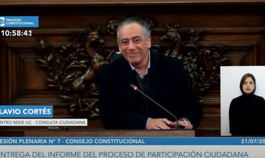 Flavio Cortés Informe Participación Ciudadana Consejo Constitucional